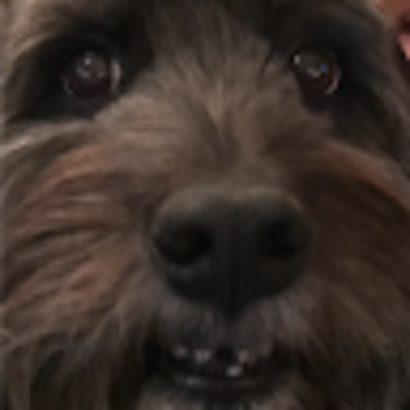 mailemunro